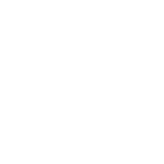 »Auster« won in the »Best Screenplay« category at the Female Filmmakers Festival Berlin in 2021.