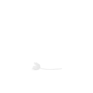 Laurel of the Sky Blaue Blume Nomination from 2018.