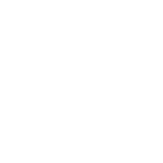 Laurel of the 4th International Short Film Festival Pune, India 2019