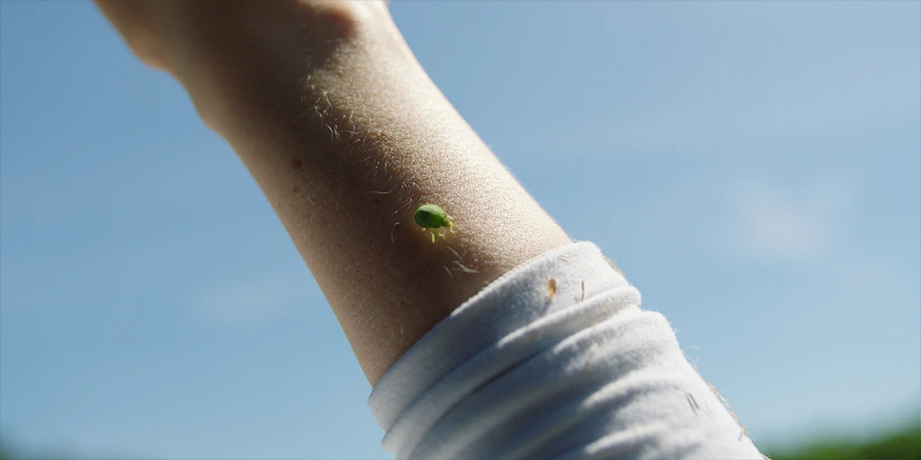 The forearm of the astronaut (Odine Johne) is visible against a blue summer sky. A green beetle makes its way over her forearm in the feature film »In the Sea of Silence«.