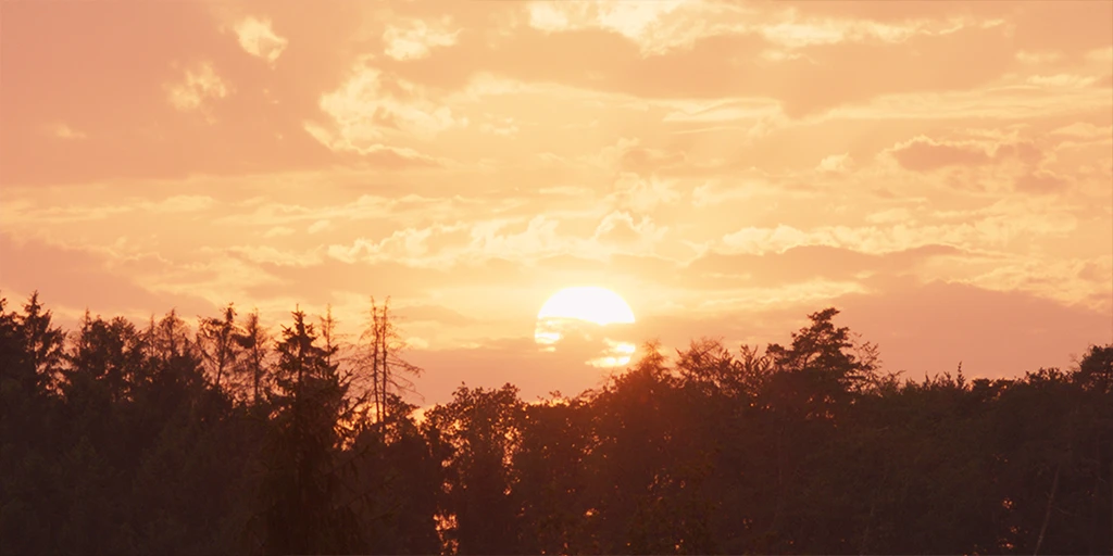 The sun sets, casting the evening sky in a golden-yellow to orange light. Tree tops are silhouetted against the sky. Light rain falls in the feature film »In the Sea of Silence« © Johannes Schmülling