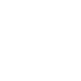 BIFAN - Bucheon International Fantastic Film Festival Laurel